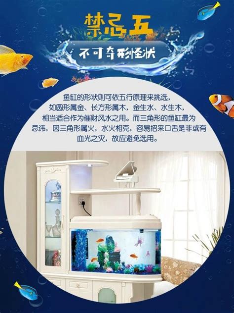 房間養魚禁忌|魚缸能招財…但千萬別放這些地方！觸犯「5禁忌」反損財 